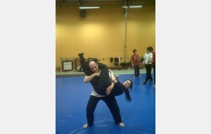 STAGE TRUC LIEN VO DAO à AULNAY